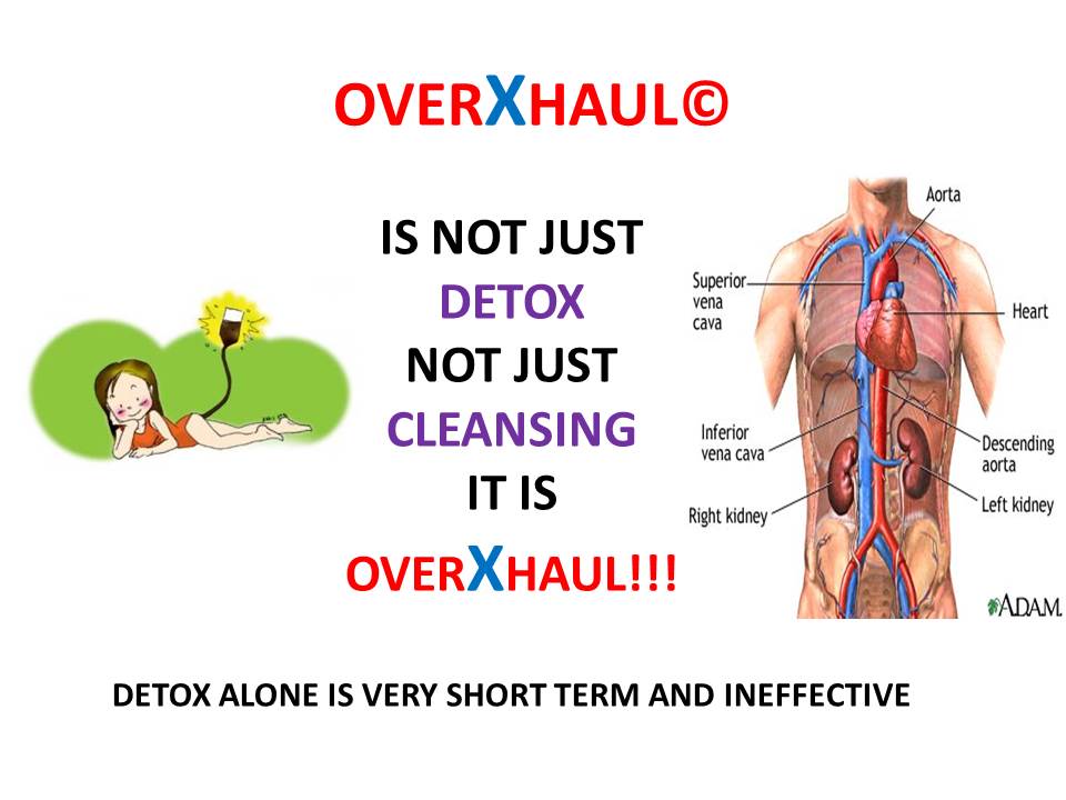 Introduction to overxhaul slide 2